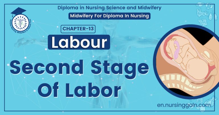 Second Stage Of Labor | Chapter 13 | Midwifery For Diploma In Nursing