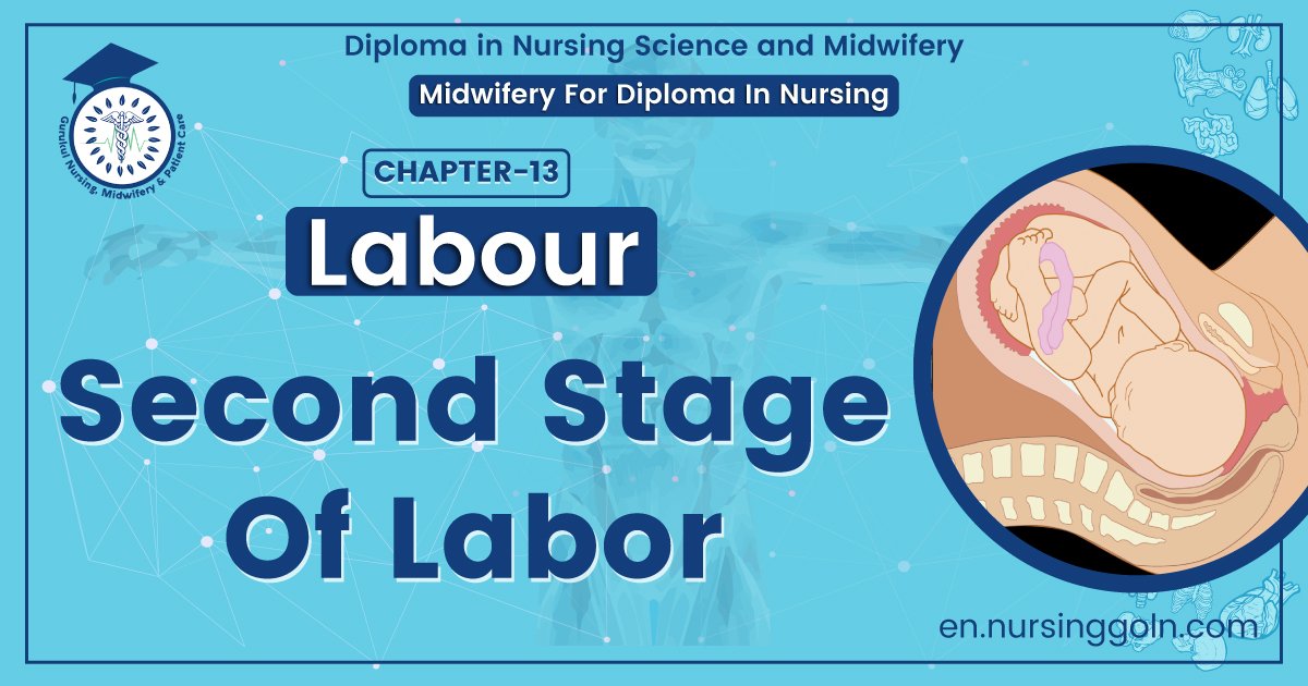 Second Stage Of Labor | Chapter 13 | Midwifery For Diploma In Nursing