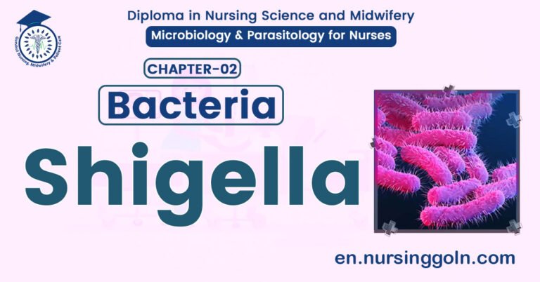 All About Shigella | CHAPTER 2 | Microbiology & Parasitology for Nurses