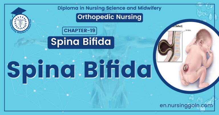 Spina Bifida | CHAPTER 19 | Orthopedic Nursing