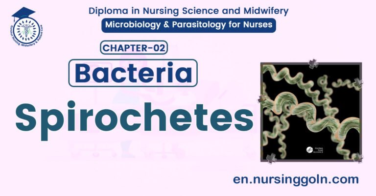 All About Spirochetes | CHAPTER 2 | Microbiology & Parasitology for Nurses