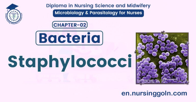Definition of Staphylococci | CHAPTER 2 | Microbiology & Parasitology for Nurses
