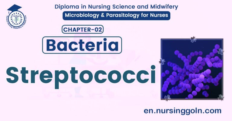 Definition of Streptococci | CHAPTER 2 | Microbiology & Parasitology for Nurses