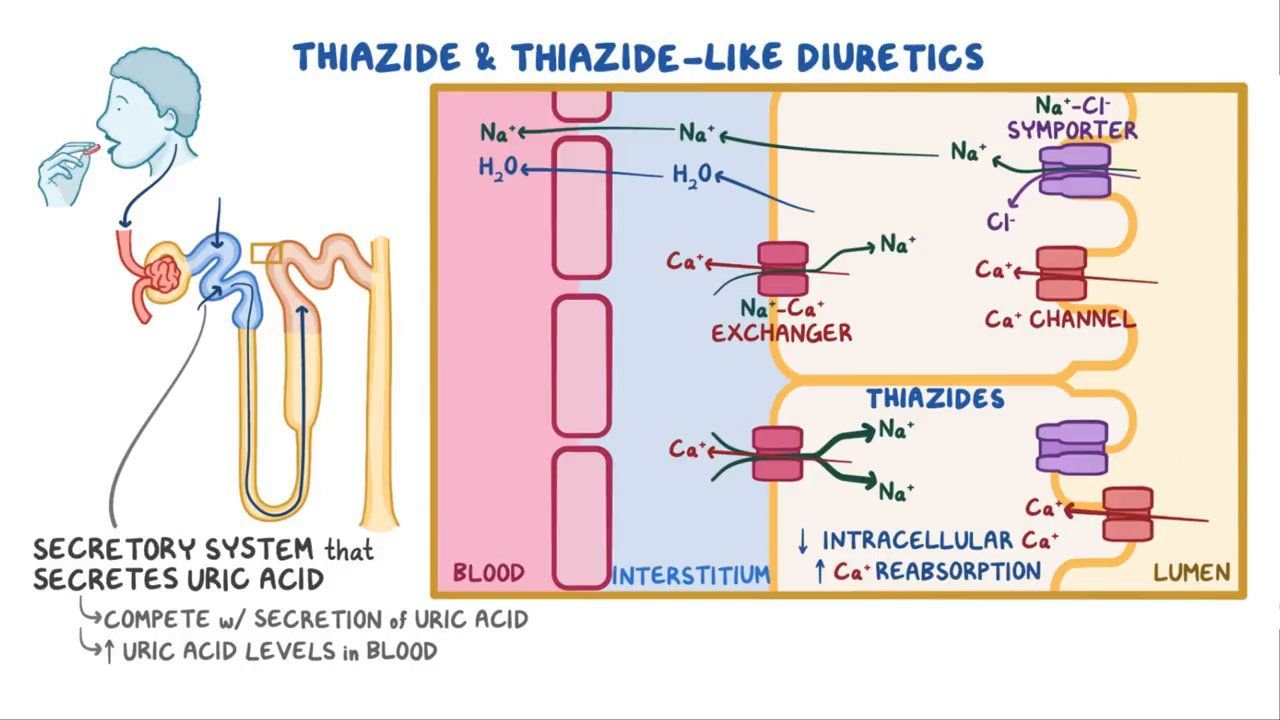 Thiazide Diuretics | CHAPTER-9 | Pharmacology