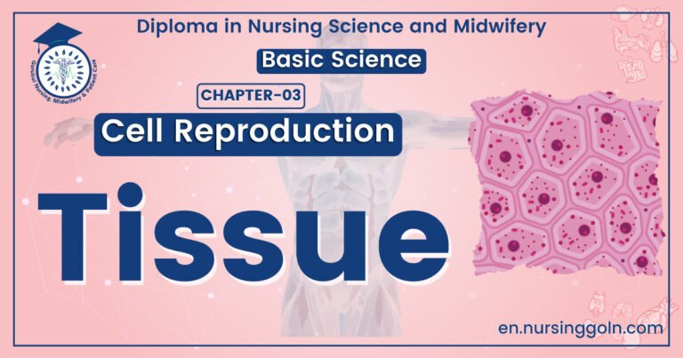 Definition of Tissue