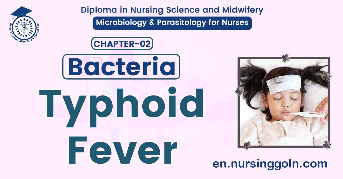Typhoid Fever | CHAPTER 2 | Microbiology & Parasitology for Nurses