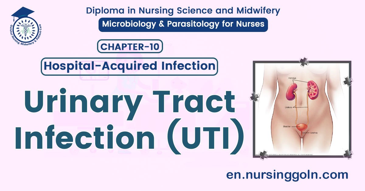 Urinary Tract Infection (UTI) | CHAPTER 10 | Microbiology & Parasitology for Nurses