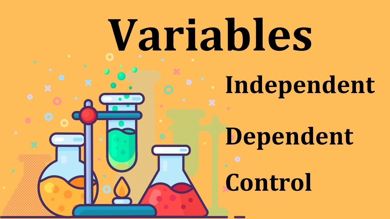 Concept About Variables | CHAPTER-5 | Research Methodology