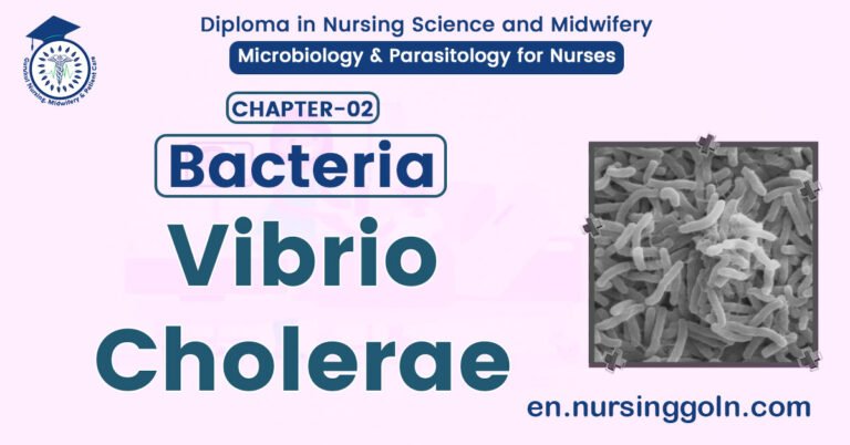 Vibrio Cholerae | CHAPTER 2 | Microbiology & Parasitology for Nurses