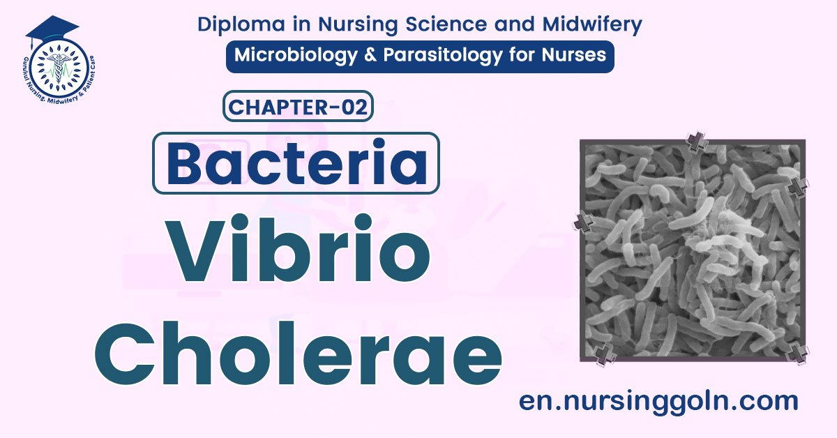 Vibrio Cholerae | CHAPTER 2 | Microbiology & Parasitology for Nurses