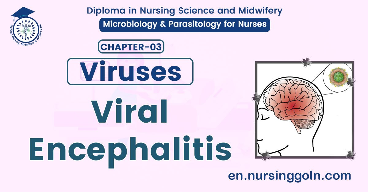 Viral Encephalitis | CHAPTER 3 | Microbiology & Parasitology for Nurses