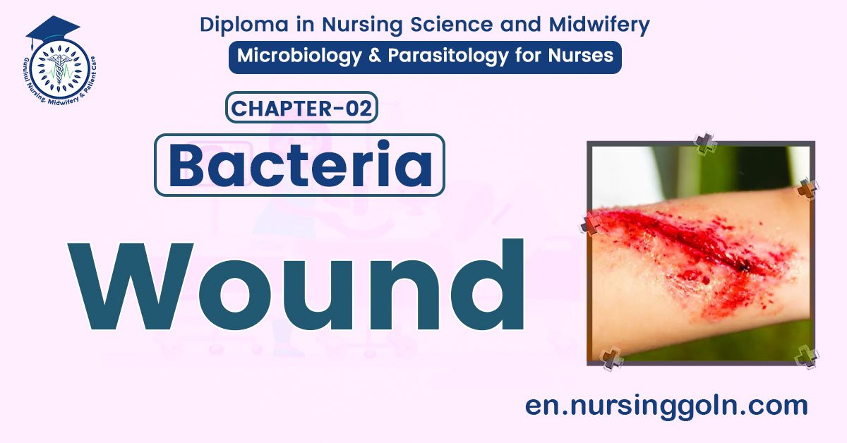 All About Wound | CHAPTER 2 | Microbiology & Parasitology for Nurses