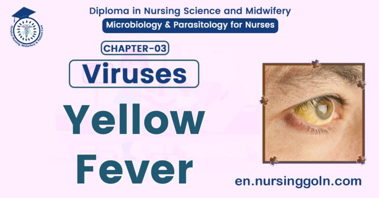 Yellow Fever | CHAPTER 3 | Microbiology & Parasitology for Nurses