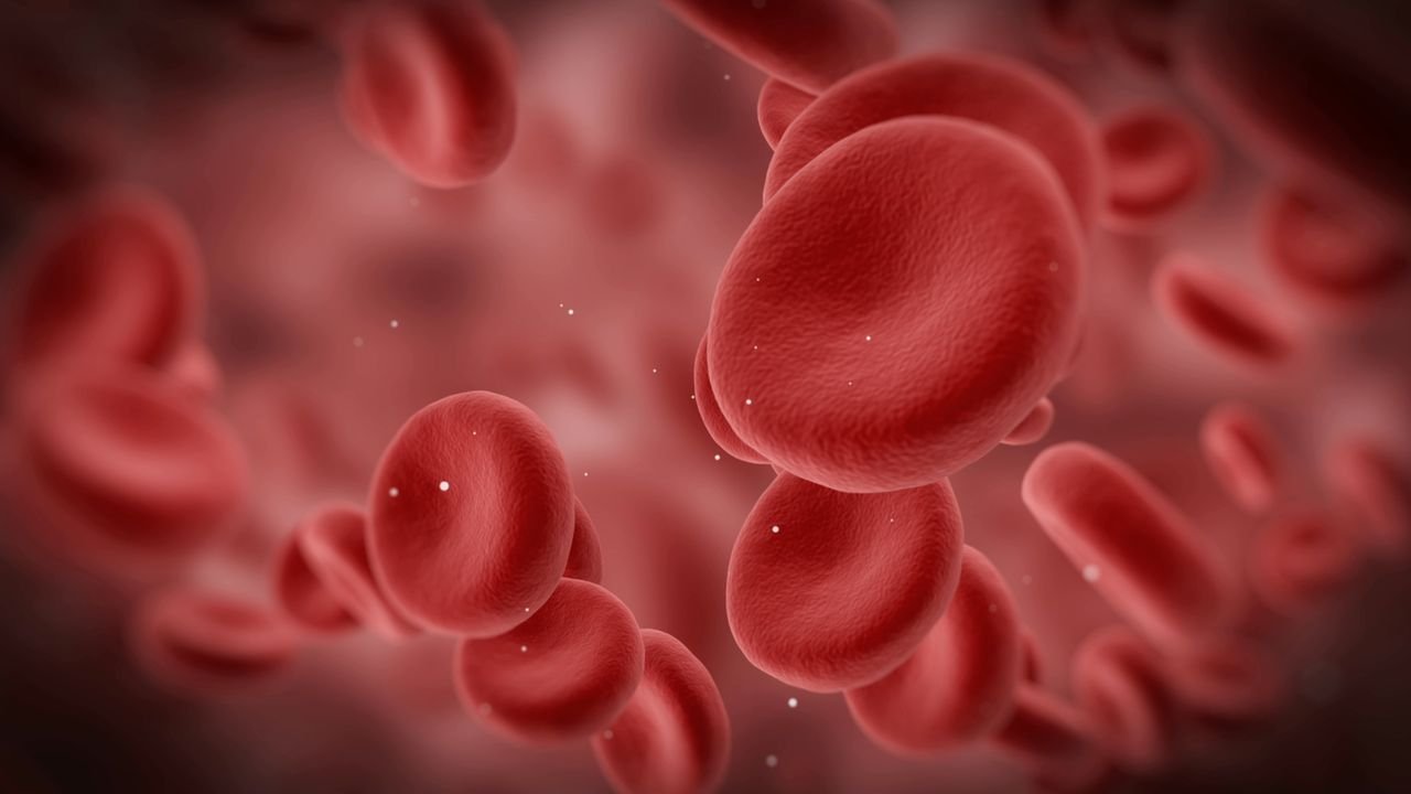 Copncept About Anticoagulants | CHAPTER-10 | Pharmacology