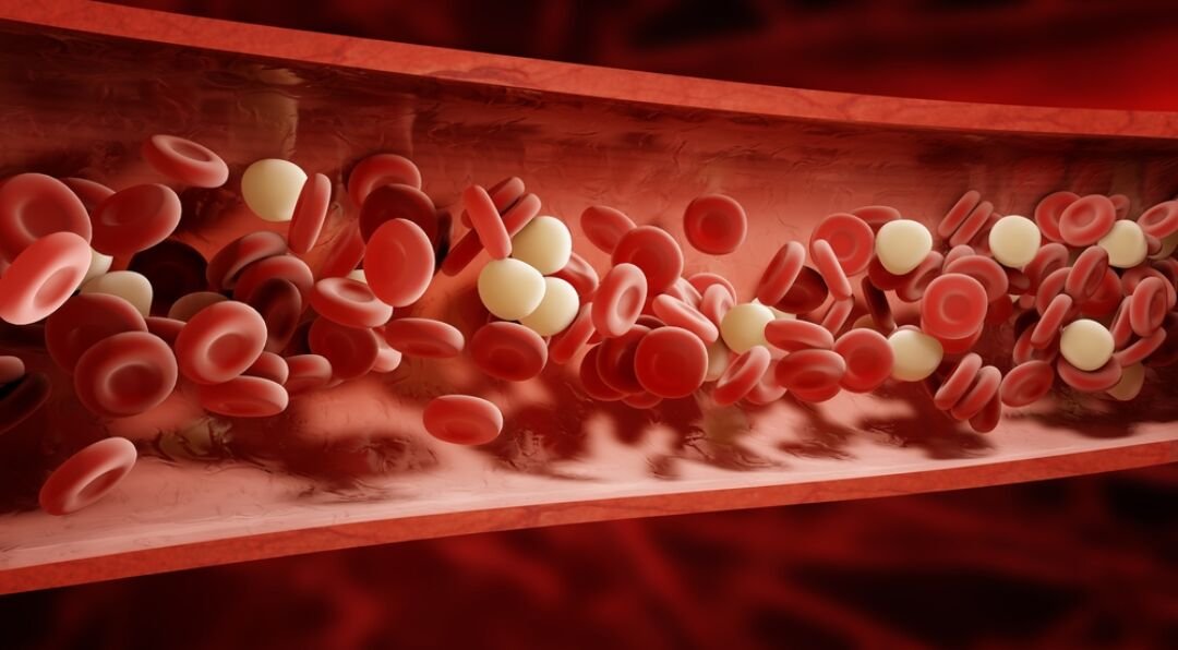 Concept About Anticoagulants
