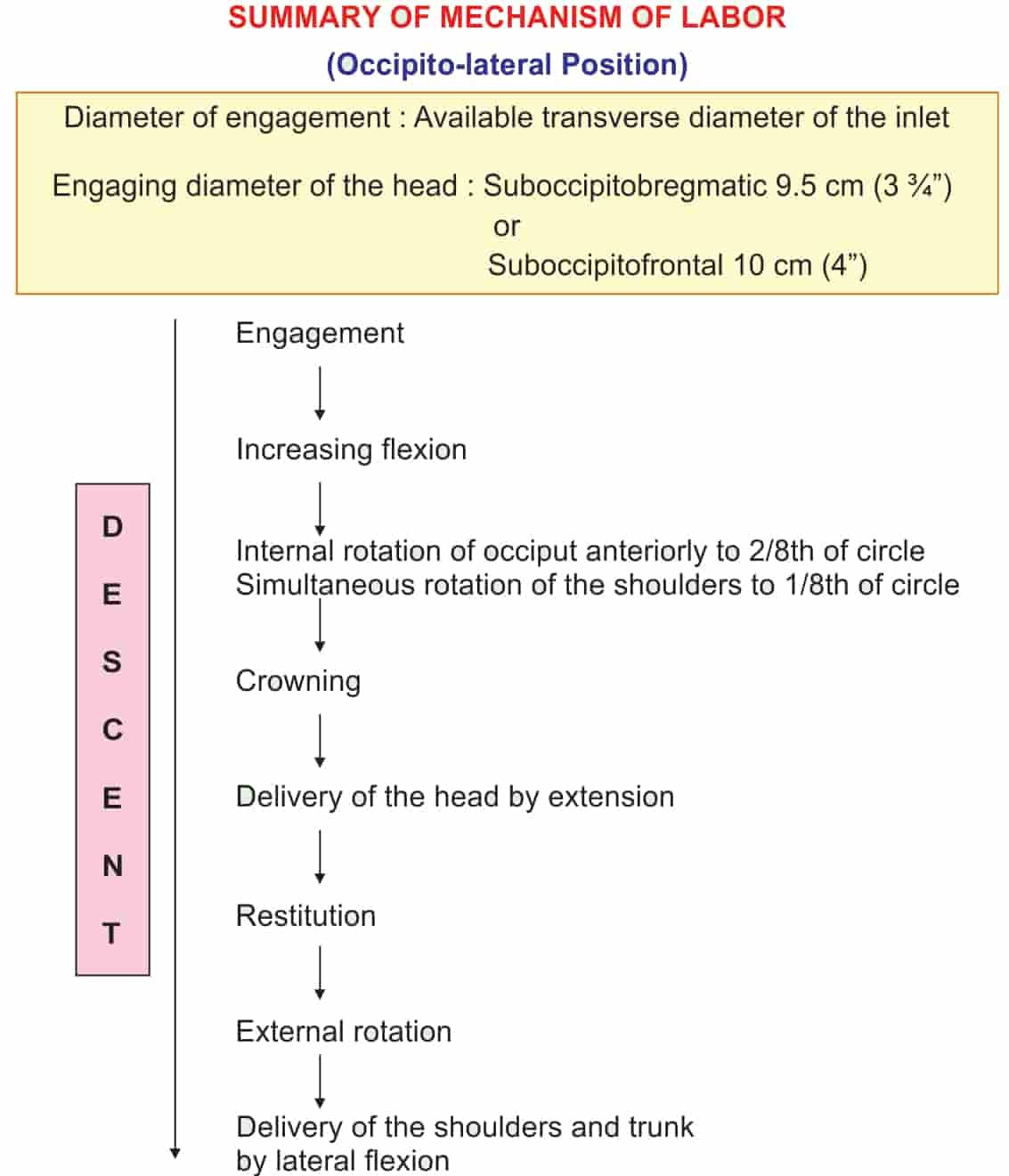 Concept Of Labour | Chapter 13 | Midwifery For Diploma In Nursing
