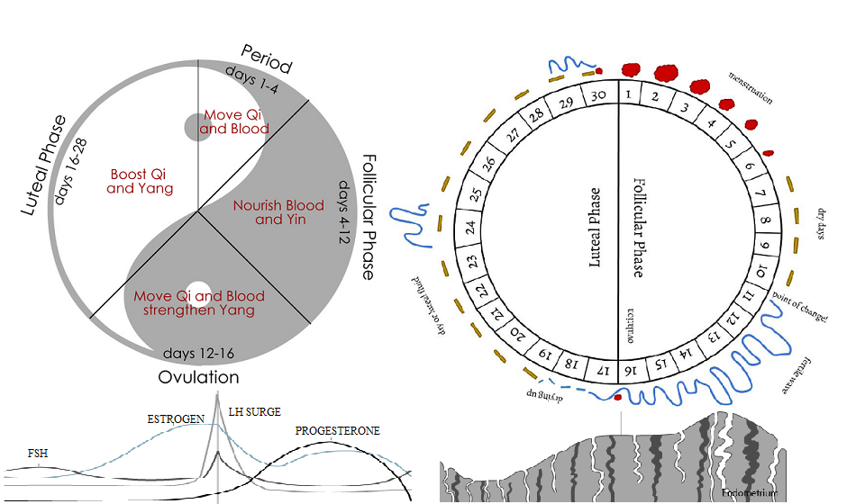 Female sterilization and MR (menstrual regulation)