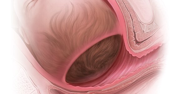 Second Stage Of Labor | Chapter 13 | Midwifery For Diploma In Nursing